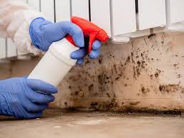 Best Mold Remediation for Healthcare Facilities in USA